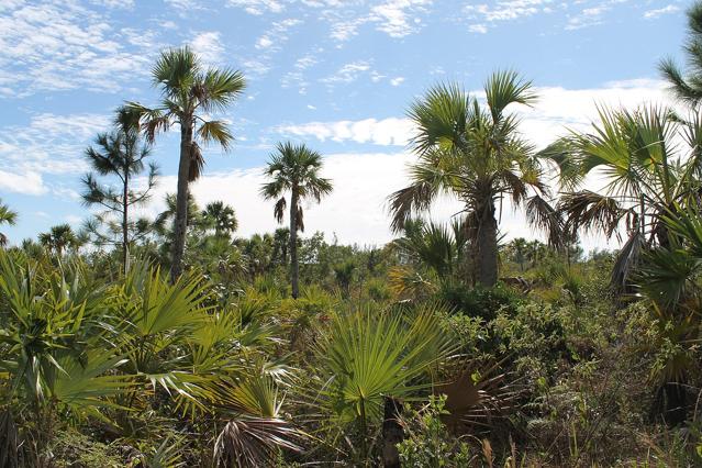 Lucayan National Park